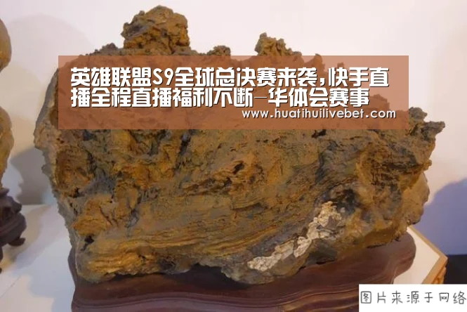 华体会竞猜