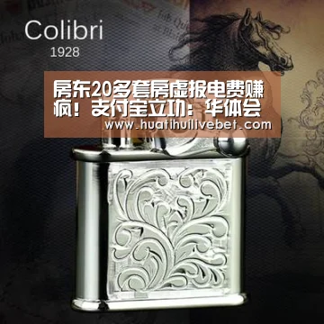 房东20多套房虚报电费赚疯!支付宝立功:华体会平台(图2) 华体会APP
