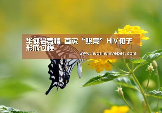 华体会竞猜